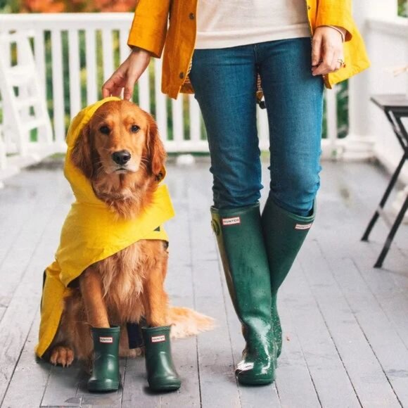 HUNTER Boots - Picture 3 of 13